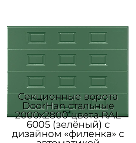 sekczionnyie-vorota-doorhan-stalnyie-2000x2800-czveta-ral-6005-zelyonyij-s-dizajnom-«filenka»-s-avtomatikoj