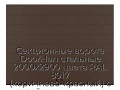 sekczionnyie-vorota-doorhan-stalnyie-2000x2900-czveta-ral-8017-korichnevo-krasnyij-s-dizajnom-«shirokaya-czentralnaya-polosa»-bez-avtomatiki