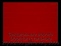 sekczionnyie-vorota-doorhan-stalnyie-2100x2100-czveta-ral-3000-krasnyij-s-dizajnom-«shirokaya-czentralnaya-polosa»-bez-avtomatiki