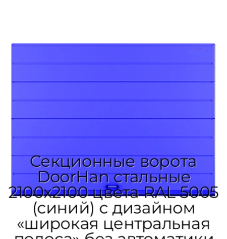 sekczionnyie-vorota-doorhan-stalnyie-2100x2100-czveta-ral-5005-sinij-s-dizajnom-«shirokaya-czentralnaya-polosa»-bez-avtomatiki