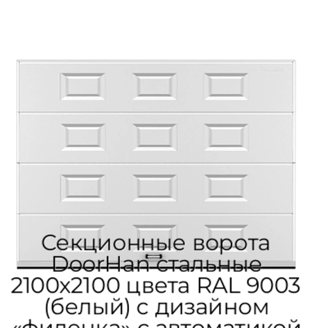sekczionnyie-vorota-doorhan-stalnyie-2100x2100-czveta-ral-9003-belyij-s-dizajnom-«filenka»-s-avtomatikoj