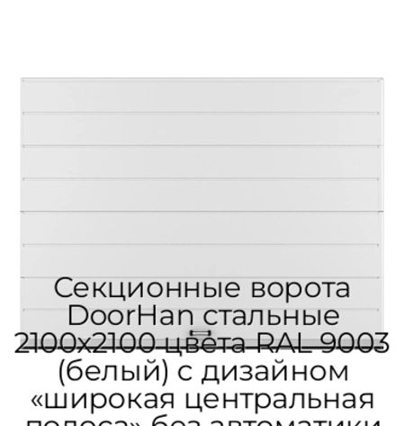 sekczionnyie-vorota-doorhan-stalnyie-2100x2100-czveta-ral-9003-belyij-s-dizajnom-«shirokaya-czentralnaya-polosa»-bez-avtomatiki