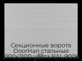 sekczionnyie-vorota-doorhan-stalnyie-2100x2100-czveta-ral-9006-serebristyij-s-dizajnom-«volna»-s-avtomatikoj