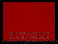 sekczionnyie-vorota-doorhan-stalnyie-2100x2200-czveta-ral-3000-krasnyij-s-dizajnom-«shirokaya-czentralnaya-polosa»-s-avtomatikoj