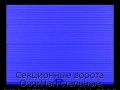 sekczionnyie-vorota-doorhan-stalnyie-2100x2300-czveta-ral-5005-sinij-s-dizajnom-«volna»-s-avtomatikoj