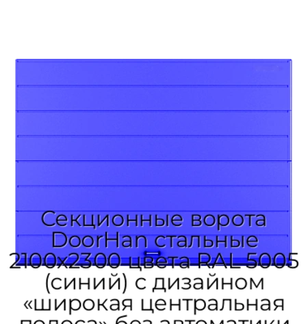 sekczionnyie-vorota-doorhan-stalnyie-2100x2300-czveta-ral-5005-sinij-s-dizajnom-«shirokaya-czentralnaya-polosa»-bez-avtomatiki