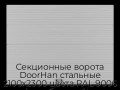 sekczionnyie-vorota-doorhan-stalnyie-2100x2300-czveta-ral-9006-serebristyij-s-dizajnom-«volna»-s-avtomatikoj