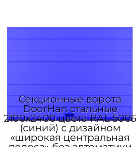 sekczionnyie-vorota-doorhan-stalnyie-2100x2400-czveta-ral-5005-sinij-s-dizajnom-«shirokaya-czentralnaya-polosa»-bez-avtomatiki