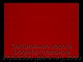 sekczionnyie-vorota-doorhan-stalnyie-2100x2500-czveta-ral-3000-krasnyij-s-dizajnom-«shirokaya-czentralnaya-polosa»-s-avtomatikoj