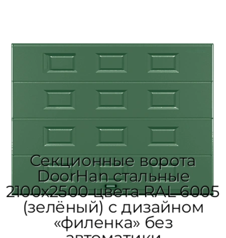 sekczionnyie-vorota-doorhan-stalnyie-2100x2500-czveta-ral-6005-zelyonyij-s-dizajnom-«filenka»-bez-avtomatiki