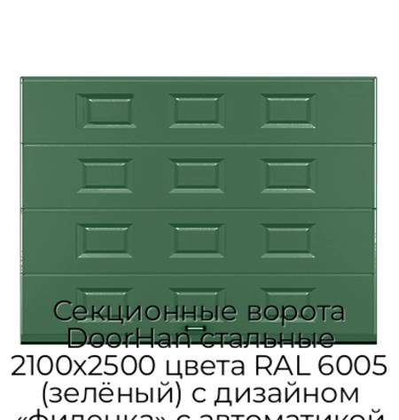 sekczionnyie-vorota-doorhan-stalnyie-2100x2500-czveta-ral-6005-zelyonyij-s-dizajnom-«filenka»-s-avtomatikoj