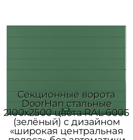 sekczionnyie-vorota-doorhan-stalnyie-2100x2500-czveta-ral-6005-zelyonyij-s-dizajnom-«shirokaya-czentralnaya-polosa»-bez-avtomatiki