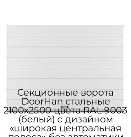 sekczionnyie-vorota-doorhan-stalnyie-2100x2500-czveta-ral-9003-belyij-s-dizajnom-«shirokaya-czentralnaya-polosa»-bez-avtomatiki