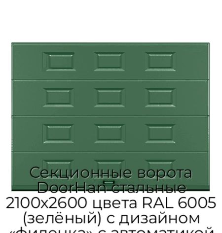 sekczionnyie-vorota-doorhan-stalnyie-2100x2600-czveta-ral-6005-zelyonyij-s-dizajnom-«filenka»-s-avtomatikoj