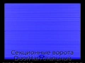 sekczionnyie-vorota-doorhan-stalnyie-2100x2800-czveta-ral-5005-sinij-s-dizajnom-«volna»-bez-avtomatiki