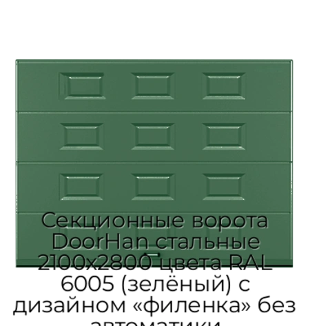 sekczionnyie-vorota-doorhan-stalnyie-2100x2800-czveta-ral-6005-zelyonyij-s-dizajnom-«filenka»-bez-avtomatiki
