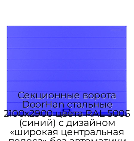 sekczionnyie-vorota-doorhan-stalnyie-2100x2900-czveta-ral-5005-sinij-s-dizajnom-«shirokaya-czentralnaya-polosa»-bez-avtomatiki