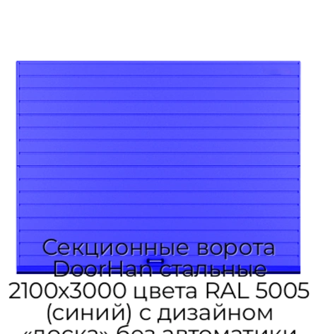 sekczionnyie-vorota-doorhan-stalnyie-2100x3000-czveta-ral-5005-sinij-s-dizajnom-«doska»-bez-avtomatiki