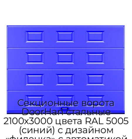 sekczionnyie-vorota-doorhan-stalnyie-2100x3000-czveta-ral-5005-sinij-s-dizajnom-«filenka»-s-avtomatikoj
