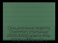 sekczionnyie-vorota-doorhan-stalnyie-2100x3000-czveta-ral-6005-zelyonyij-s-dizajnom-«shirokaya-czentralnaya-polosa»-s-avtomatikoj