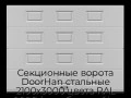 sekczionnyie-vorota-doorhan-stalnyie-2100x3000-czveta-ral-9006-serebristyij-s-dizajnom-«filenka»-bez-avtomatiki