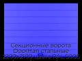sekczionnyie-vorota-doorhan-stalnyie-2200x2100-czveta-ral-5005-sinij-s-dizajnom-«shirokaya-czentralnaya-polosa»-s-avtomatikoj