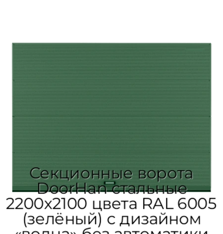 sekczionnyie-vorota-doorhan-stalnyie-2200x2100-czveta-ral-6005-zelyonyij-s-dizajnom-«volna»-bez-avtomatiki