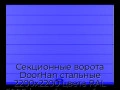 sekczionnyie-vorota-doorhan-stalnyie-2200x2200-czveta-ral-5005-sinij-s-dizajnom-«shirokaya-czentralnaya-polosa»-s-avtomatikoj