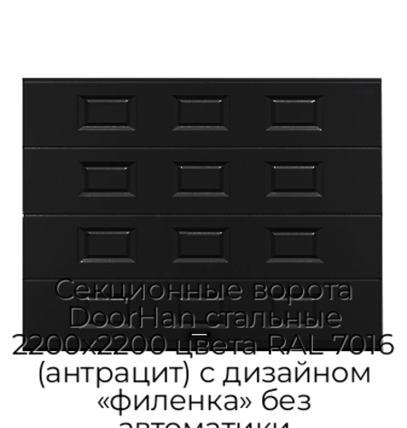 sekczionnyie-vorota-doorhan-stalnyie-2200x2200-czveta-ral-7016-antraczit-s-dizajnom-«filenka»-bez-avtomatiki