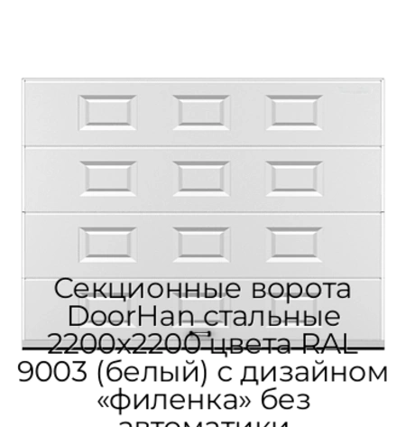 sekczionnyie-vorota-doorhan-stalnyie-2200x2200-czveta-ral-9003-belyij-s-dizajnom-«filenka»-bez-avtomatiki