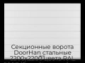 sekczionnyie-vorota-doorhan-stalnyie-2200x2200-czveta-ral-9003-belyij-s-dizajnom-«shirokaya-czentralnaya-polosa»-bez-avtomatiki