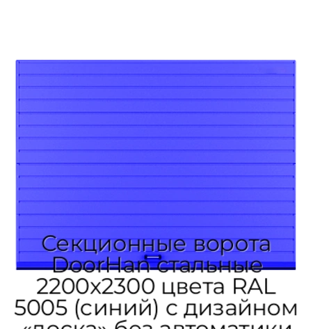 sekczionnyie-vorota-doorhan-stalnyie-2200x2300-czveta-ral-5005-sinij-s-dizajnom-«doska»-bez-avtomatiki