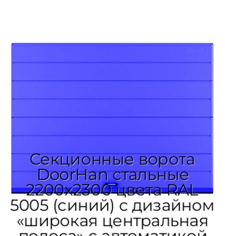 sekczionnyie-vorota-doorhan-stalnyie-2200x2300-czveta-ral-5005-sinij-s-dizajnom-«shirokaya-czentralnaya-polosa»-s-avtomatikoj