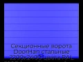 sekczionnyie-vorota-doorhan-stalnyie-2200x2400-czveta-ral-5005-sinij-s-dizajnom-«shirokaya-czentralnaya-polosa»-s-avtomatikoj