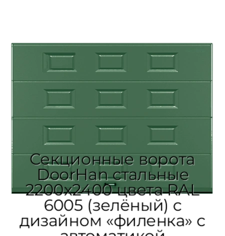 sekczionnyie-vorota-doorhan-stalnyie-2200x2400-czveta-ral-6005-zelyonyij-s-dizajnom-«filenka»-s-avtomatikoj