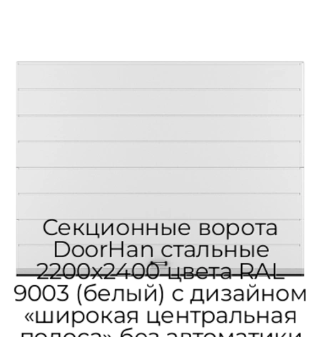 sekczionnyie-vorota-doorhan-stalnyie-2200x2400-czveta-ral-9003-belyij-s-dizajnom-«shirokaya-czentralnaya-polosa»-bez-avtomatiki