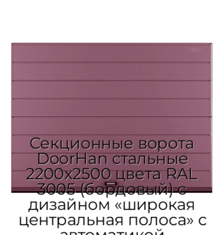 sekczionnyie-vorota-doorhan-stalnyie-2200x2500-czveta-ral-3005-bordovyij-s-dizajnom-«shirokaya-czentralnaya-polosa»-s-avtomatikoj