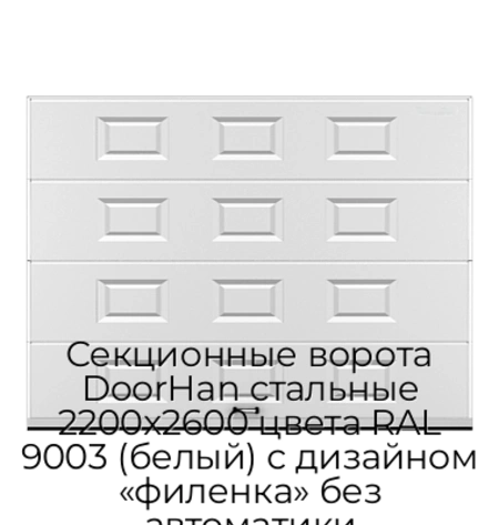 sekczionnyie-vorota-doorhan-stalnyie-2200x2600-czveta-ral-9003-belyij-s-dizajnom-«filenka»-bez-avtomatiki
