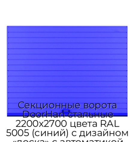 sekczionnyie-vorota-doorhan-stalnyie-2200x2700-czveta-ral-5005-sinij-s-dizajnom-«doska»-s-avtomatikoj