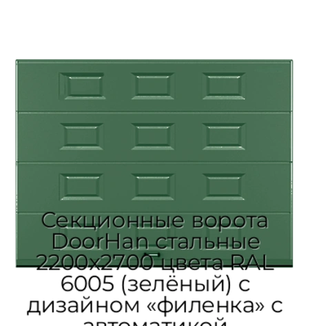 sekczionnyie-vorota-doorhan-stalnyie-2200x2700-czveta-ral-6005-zelyonyij-s-dizajnom-«filenka»-s-avtomatikoj