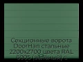 sekczionnyie-vorota-doorhan-stalnyie-2200x2700-czveta-ral-6005-zelyonyij-s-dizajnom-«shirokaya-czentralnaya-polosa»-s-avtomatikoj
