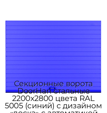 sekczionnyie-vorota-doorhan-stalnyie-2200x2800-czveta-ral-5005-sinij-s-dizajnom-«doska»-s-avtomatikoj