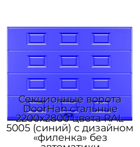 sekczionnyie-vorota-doorhan-stalnyie-2200x2800-czveta-ral-5005-sinij-s-dizajnom-«filenka»-bez-avtomatiki