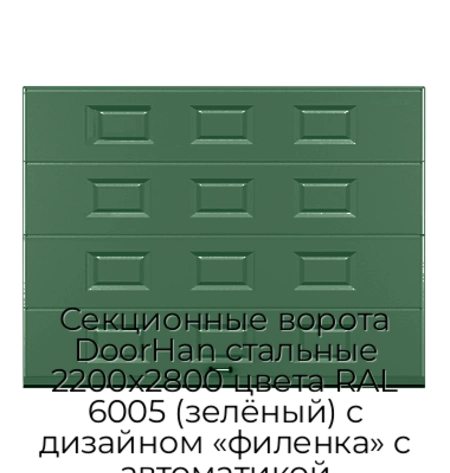sekczionnyie-vorota-doorhan-stalnyie-2200x2800-czveta-ral-6005-zelyonyij-s-dizajnom-«filenka»-s-avtomatikoj
