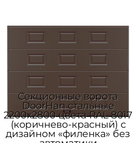 sekczionnyie-vorota-doorhan-stalnyie-2200x2800-czveta-ral-8017-korichnevo-krasnyij-s-dizajnom-«filenka»-bez-avtomatiki