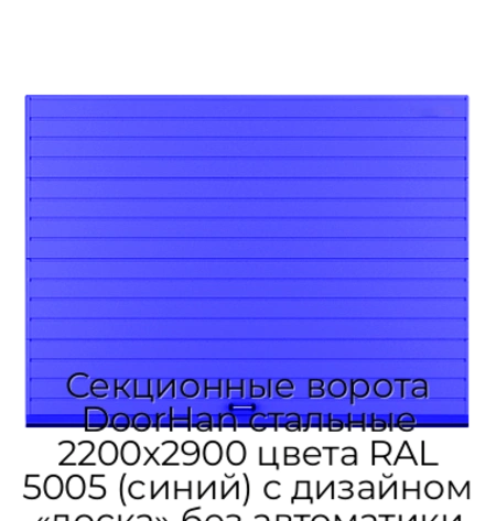 sekczionnyie-vorota-doorhan-stalnyie-2200x2900-czveta-ral-5005-sinij-s-dizajnom-«doska»-bez-avtomatiki