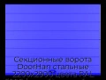 sekczionnyie-vorota-doorhan-stalnyie-2200x2900-czveta-ral-5005-sinij-s-dizajnom-«shirokaya-czentralnaya-polosa»-bez-avtomatiki