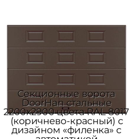 sekczionnyie-vorota-doorhan-stalnyie-2200x2900-czveta-ral-8017-korichnevo-krasnyij-s-dizajnom-«filenka»-s-avtomatikoj