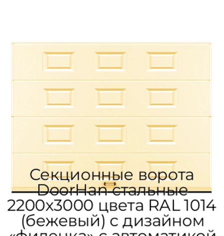sekczionnyie-vorota-doorhan-stalnyie-2200x3000-czveta-ral-1014-bezhevyij-s-dizajnom-«filenka»-s-avtomatikoj