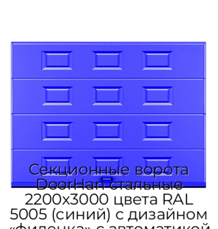 sekczionnyie-vorota-doorhan-stalnyie-2200x3000-czveta-ral-5005-sinij-s-dizajnom-«filenka»-s-avtomatikoj